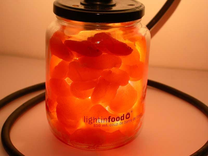 photo-lightinfood-abricot-0443