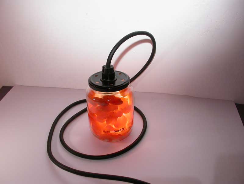 photo-lightinfood-abricot-0472