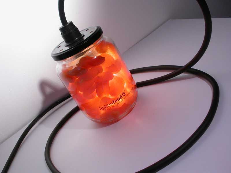 photo-lightinfood-abricot-0874