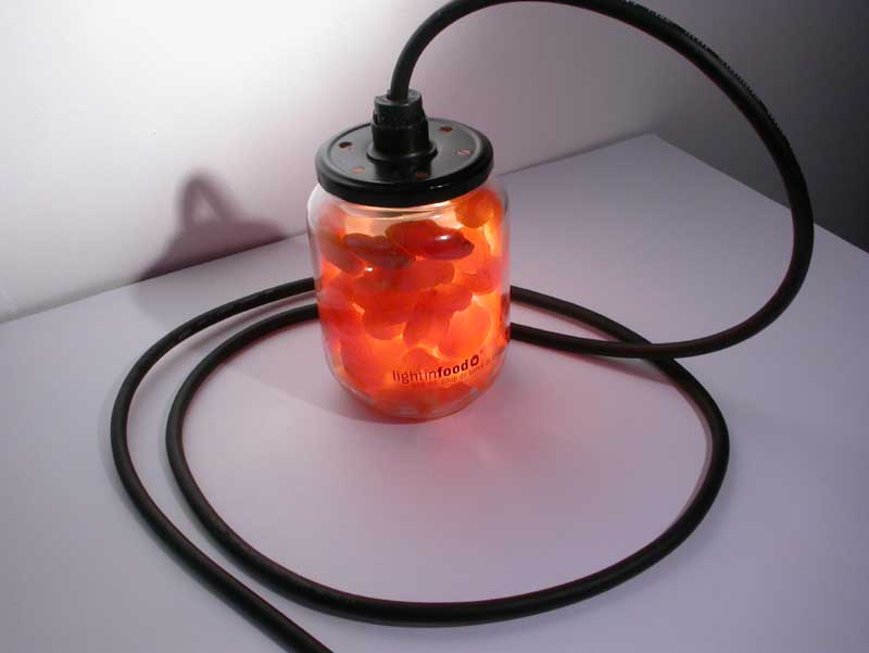 photo-lightinfood-abricot-0882