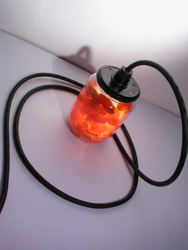 photo-lightinfood-abricot-0883