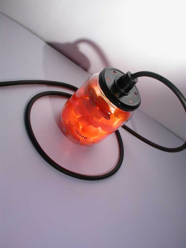 photo-lightinfood-abricot-0884