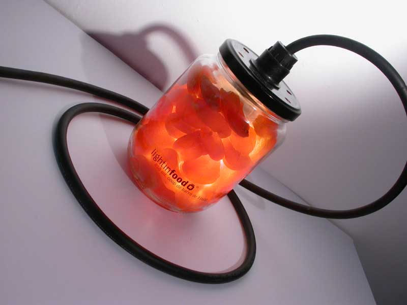 photo-lightinfood-abricot-0885