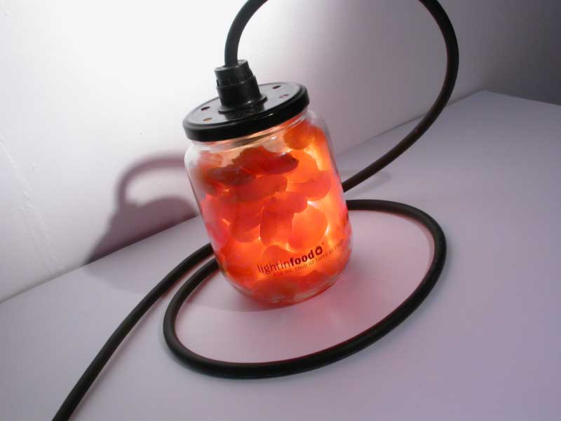 photo-lightinfood-abricot-0889