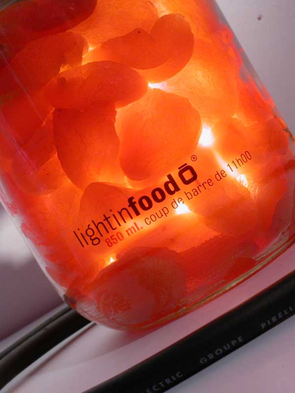 photo-lightinfood-abricot-0897