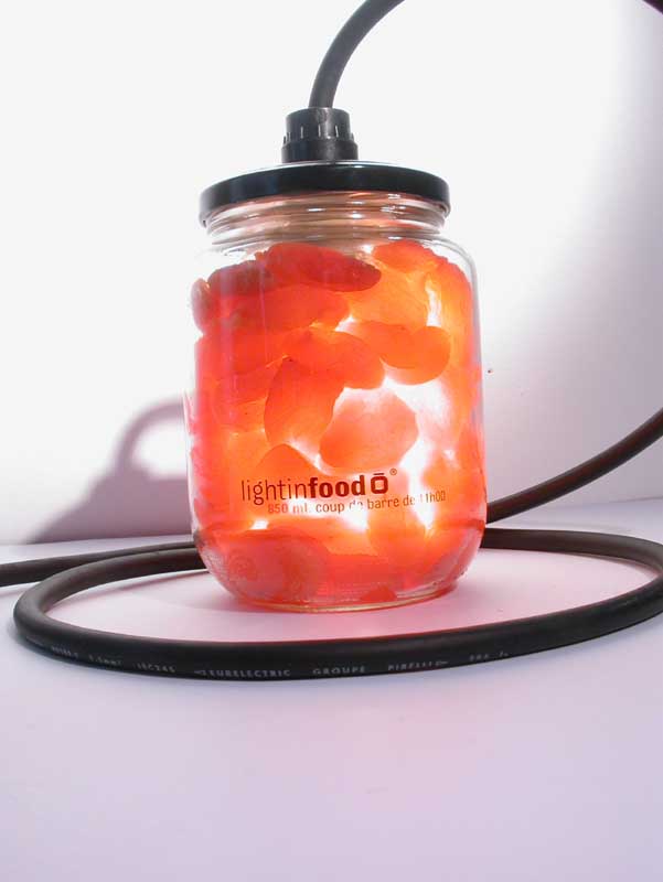 photo-lightinfood-abricot-0902