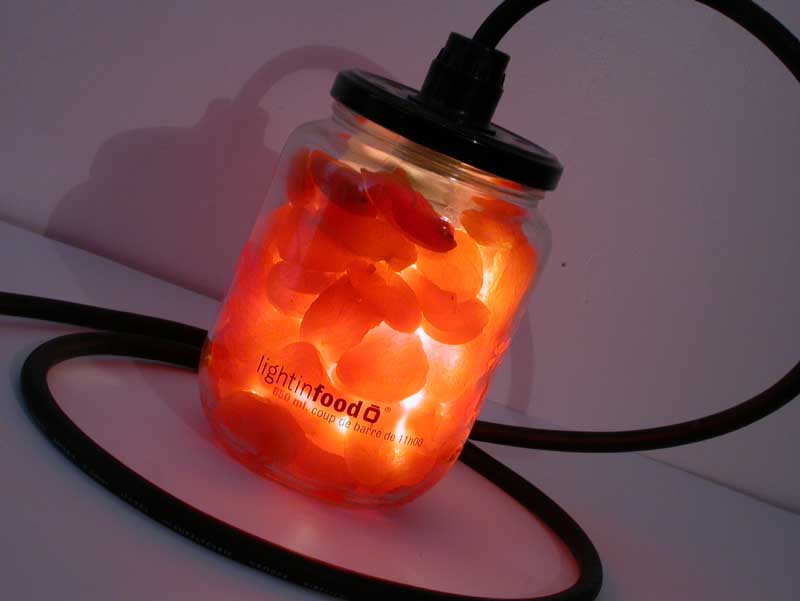 photo-lightinfood-abricot-0906