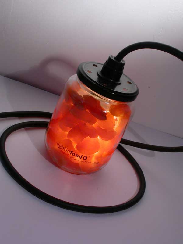 photo-lightinfood-abricot-0911