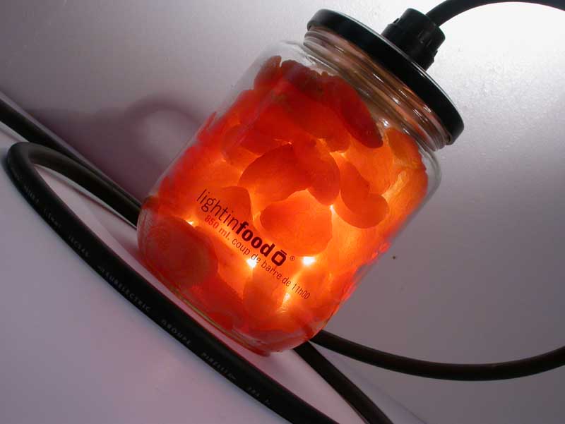 photo-lightinfood-abricot-0915