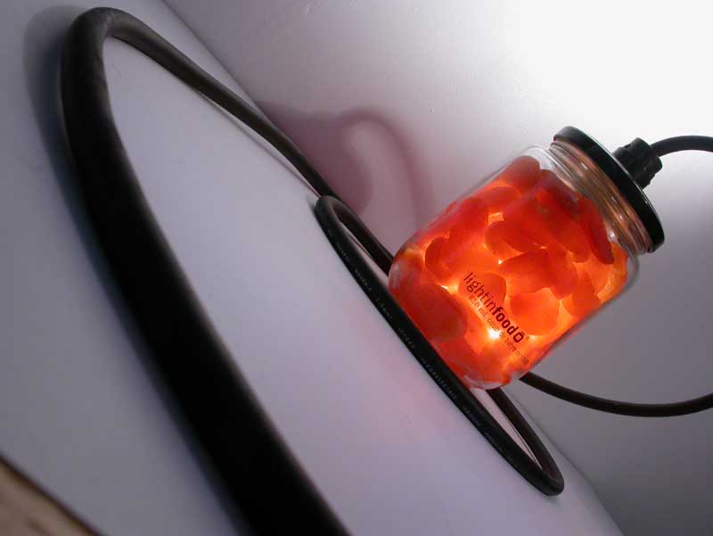 photo-lightinfood-abricot-0919