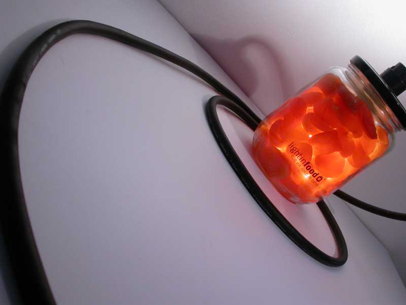photo-lightinfood-abricot-0922