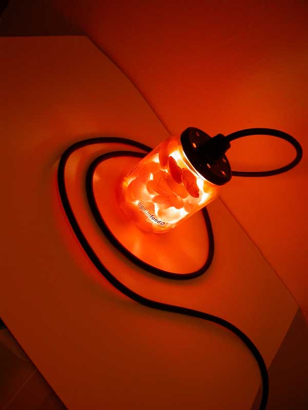 photo-lightinfood-abricot-407