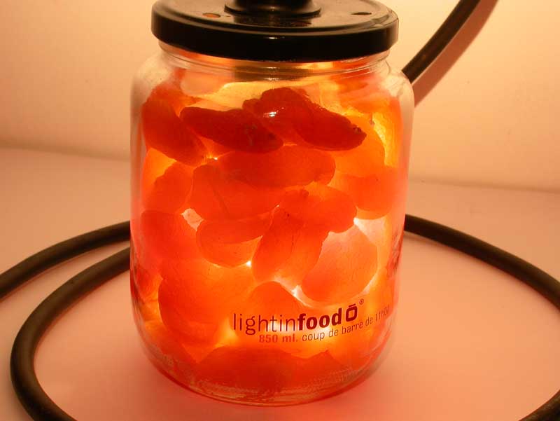 photo-lightinfood-abricot-449