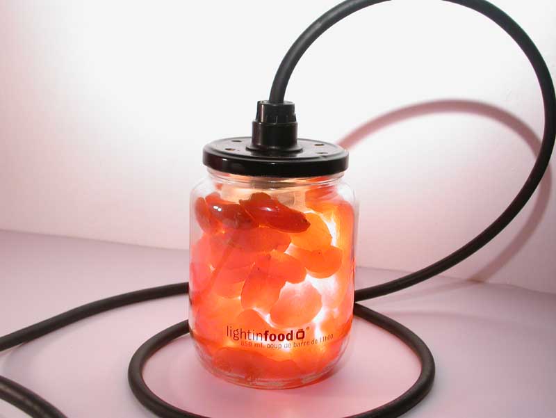 photo-lightinfood-abricot-474