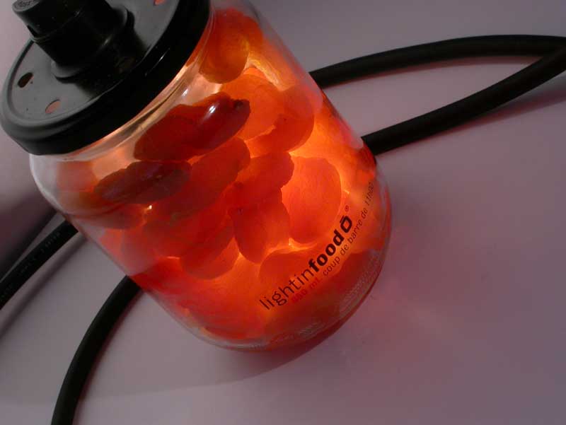 photo-lightinfood-abricot-876