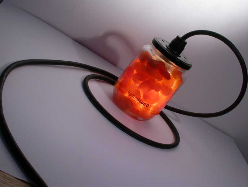 photo-lightinfood-abricot-918