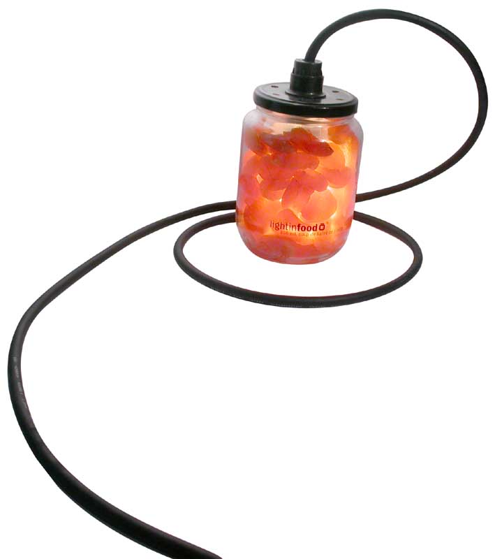 photo-lightinfood-abricots-cable
