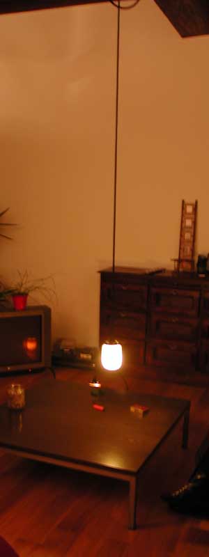 photo-lightinfood-appartement-suspendue