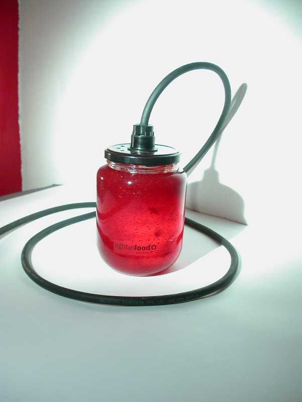 photo-lightinfood-confiture-fraise-0625