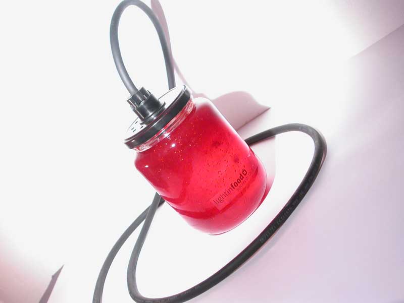 photo-lightinfood-confiture-fraise-0636