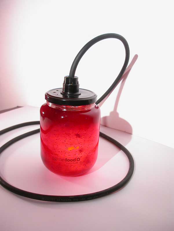 photo-lightinfood-confiture-fraise-0646