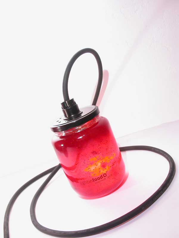 photo-lightinfood-confiture-fraise-10