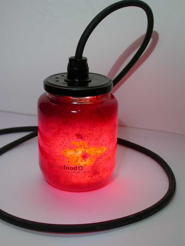 photo-lightinfood-confiture-fraise-559