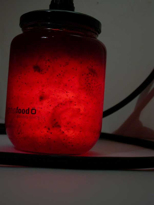 photo-lightinfood-confiture-fraise-565