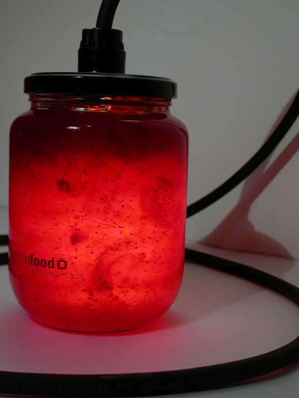 photo-lightinfood-confiture-fraise-566