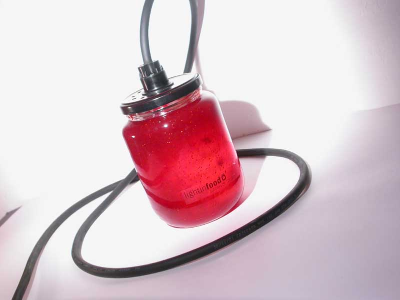 photo-lightinfood-confiture-fraise-635