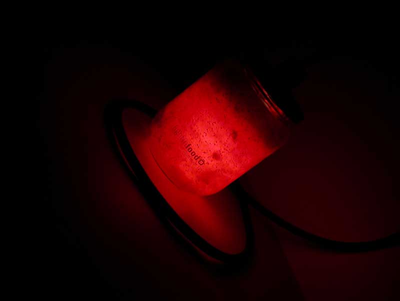 photo-lightinfood-confiture-fraise-660