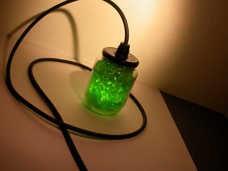 photo-lightinfood-valda-0767