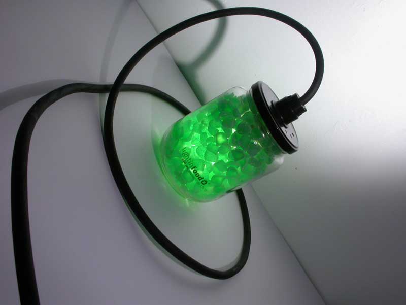 photo-lightinfood-valda-0851