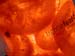 design lampe paris-confiture-orange-0939